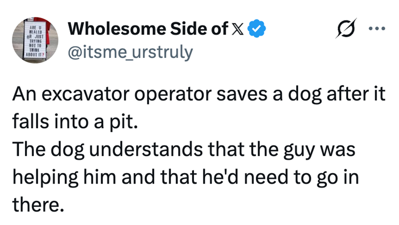 ARE U HEALED OR JUST TRYING NOT TO THINK ABOUT IT? Wholesome Side of X @itsme_urstruly An excavator operator saves a dog after it falls into a pit. The dog understands that the guy was helping him and that he'd need to go in there.