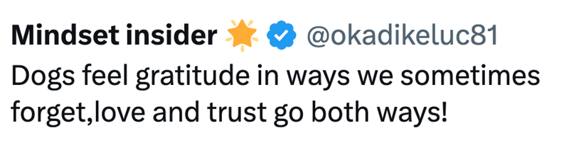 Mindset insider ✶ @okadikeluc81 Dogs feel gratitude in ways we sometimes forget, love and trust go both ways!