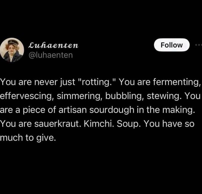 Luhaenten @luhaenten Follow You are never just "rotting." You are fermenting, effervescing, simmering, bubbling, stewing. You are a piece of artisan sourdough in the making. You are sauerkraut. Kimchi. Soup. You have so much to give.