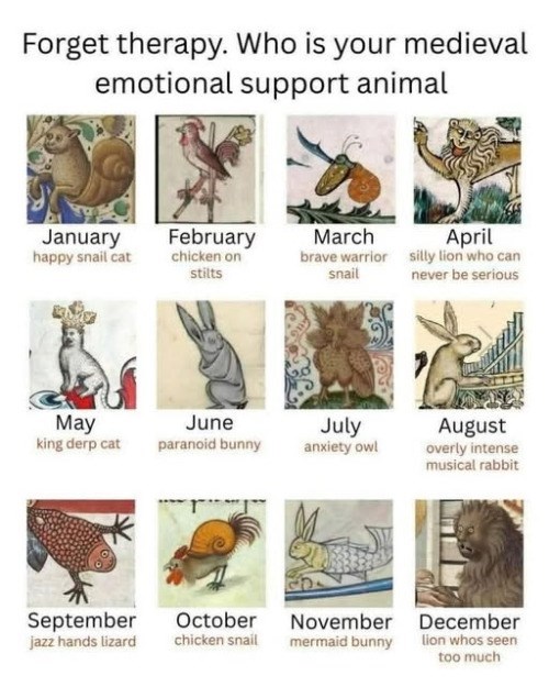 Forget therapy. Who is your medieval emotional support animal January happy snail cat February March April chicken on stilts brave warrior silly lion who can snail never be serious May June king derp cat paranoid bunny July anxiety owl August overly intense musical rabbit September October jazz hands lizard chicken snail M November mermaid bunny December lion whos seen too much