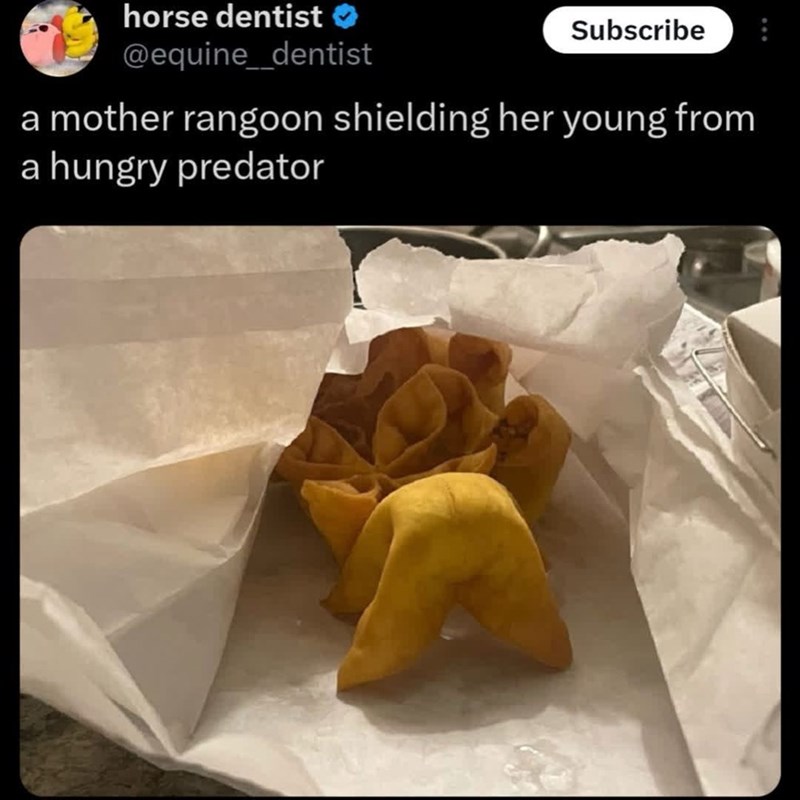 horse dentist @equine_dentist Subscribe a mother rangoon shielding her young from a hungry predator