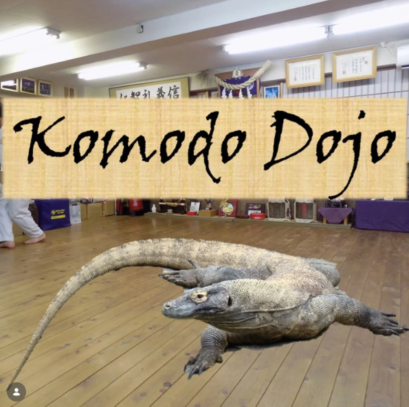 1. Komodo Dojo
