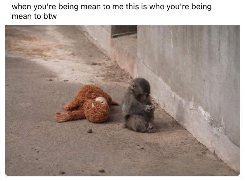 when you're being mean to me this is who you're being mean to btw