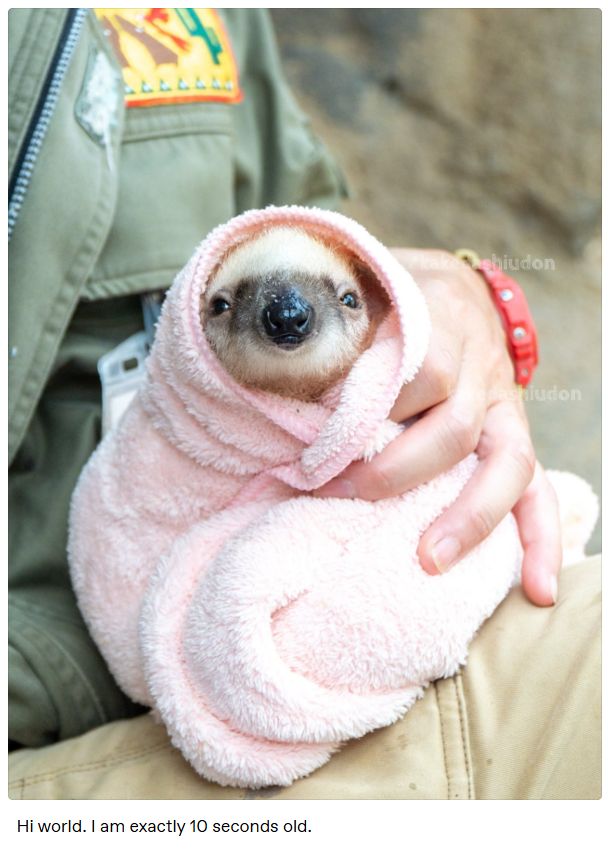 154 Hi world. I am exactly 10 seconds old. kake shiudon dashiudon