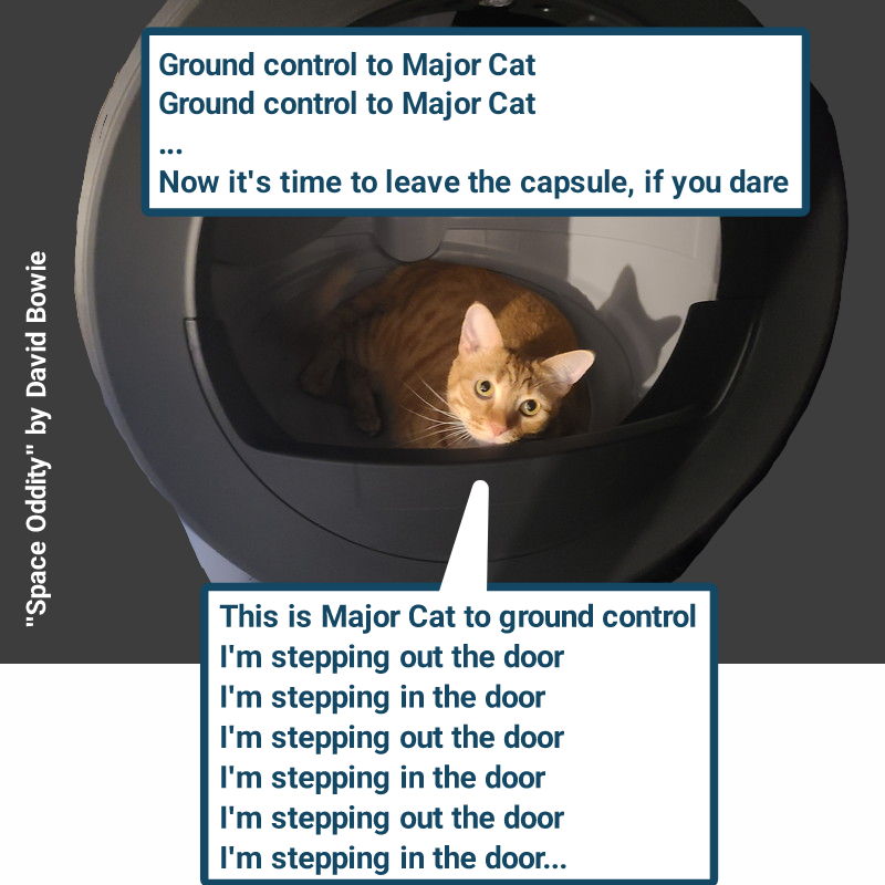 Cheezburger Image 10619754240