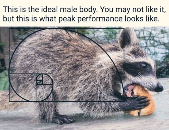 This is the ideal male body. You may not like it, but this is what peak performance looks like.