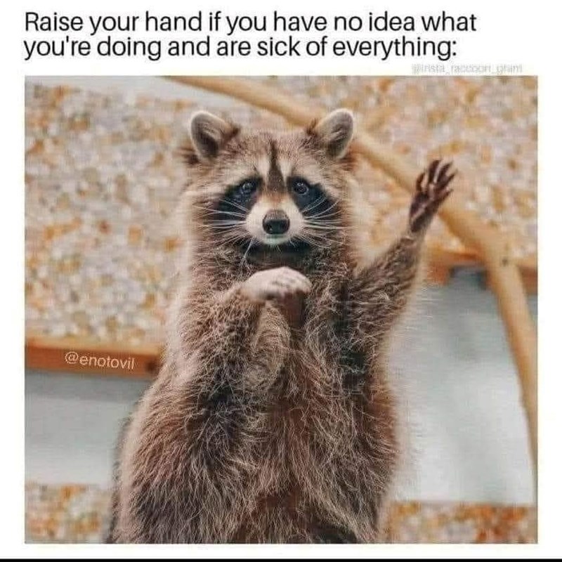 Raise your hand if you have no idea what you're doing and are sick of everything: @enotovil