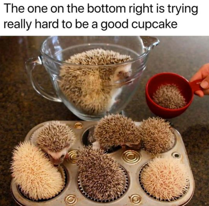 The one on the bottom right is trying really hard to be a good cupcake