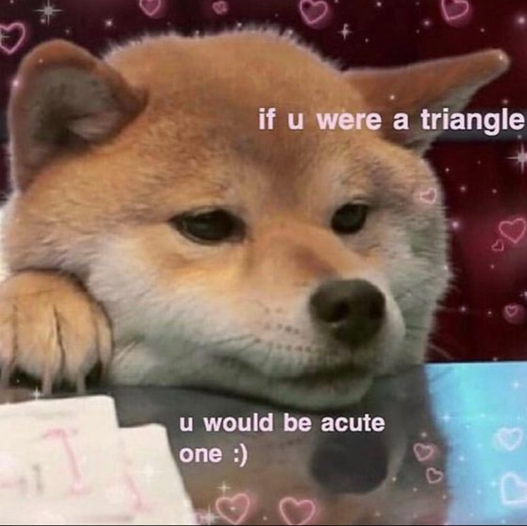 if u were a triangle u would be acute one :) C B