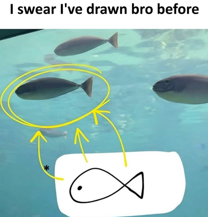 I swear I've drawn bro before