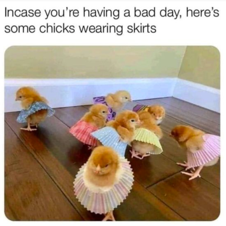 Incase you're having a bad day, here's some chicks wearing skirts