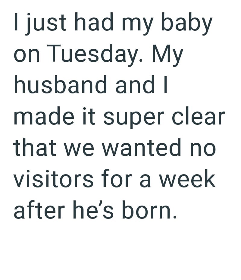 I just had my baby on Tuesday. My husband and I made it super clear that we wanted no visitors for a week after he's born.
