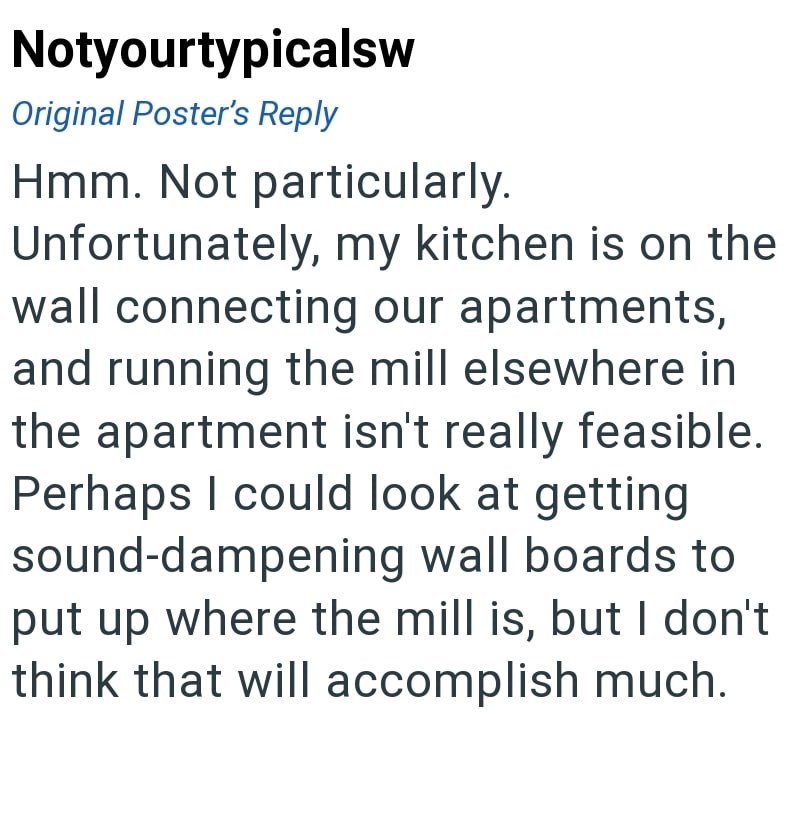 Notyourtypicalsw Original Poster's Reply Hmm. Not particularly. Unfortunately, my kitchen is on the wall connecting our apartments, and running the mill elsewhere in the apartment isn't really feasible. Perhaps I could look at getting sound-dampening wall boards to put up where the mill is, but I don't think that will accomplish much.