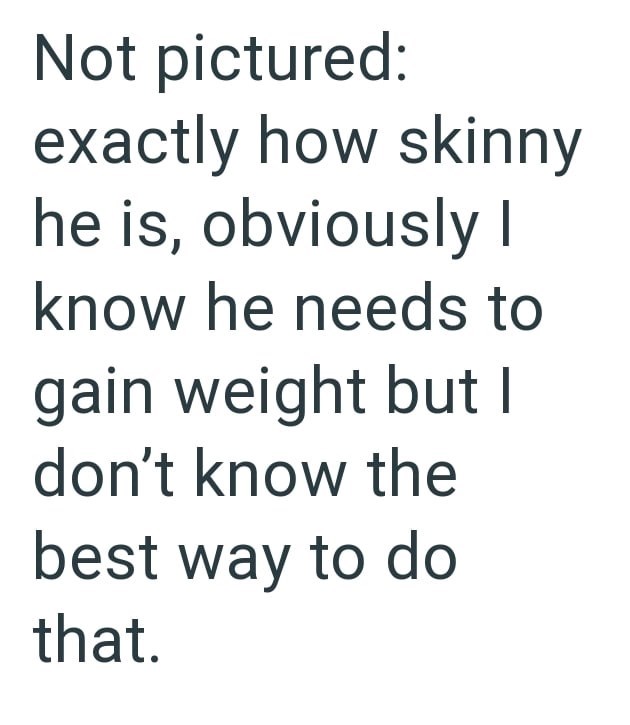Not pictured: exactly how skinny he is, obviously I know he needs to gain weight but I don't know the best way to do that.