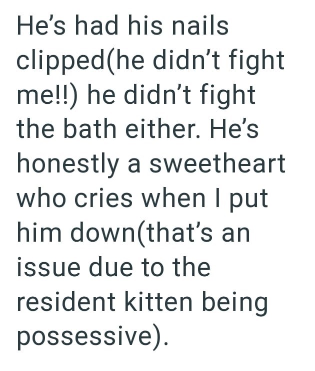 He's had his nails clipped(he didn't fight me!!) he didn't fight the bath either. He's honestly a sweetheart who cries when I put him down(that's an issue due to the resident kitten being possessive).