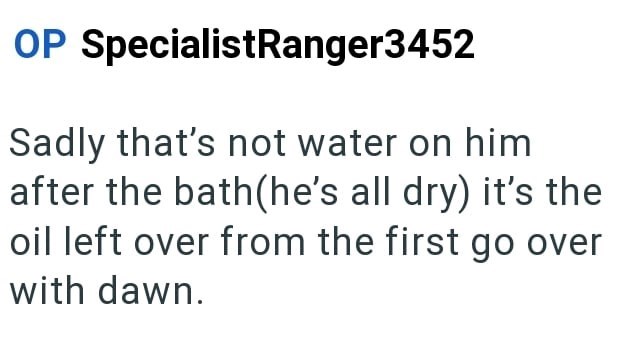 OP SpecialistRanger3452 Sadly that's not water on him after the bath(he's all dry) it's the oil left over from the first go over with dawn.