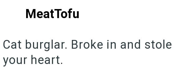 MeatTofu Cat burglar. Broke in and stole your heart.