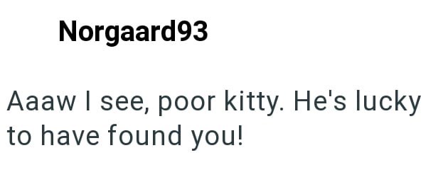 Norgaard93 Aaaw I see, poor kitty. He's lucky to have found you!