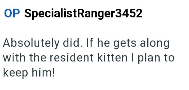 OP SpecialistRanger3452 Absolutely did. If he gets along with the resident kitten I plan to keep him!