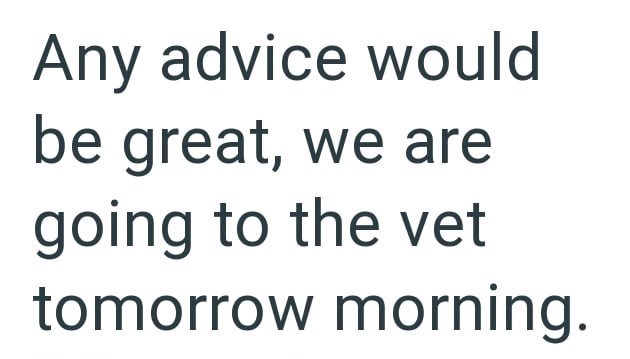 Any advice would be great, we are going to the vet tomorrow morning.