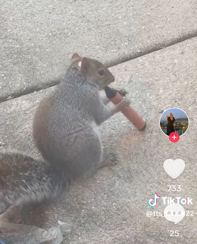 733 TikTok @tts 22 25