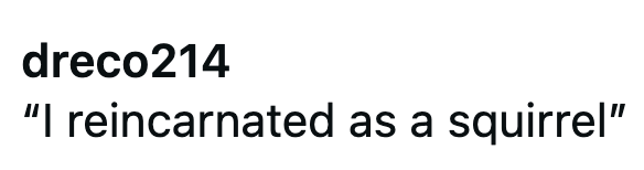 dreco214 "I reincarnated as a squirrel"