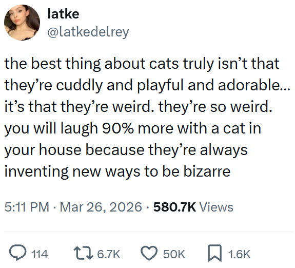 latke @latkedelrey the best thing about cats truly isn't that they're cuddly and playful and adorable... it's that they're weird. they're so weird. you will laugh 90% more with a cat in your house because they're always inventing new ways to be bizarre 5:11 PM Mar 26, 2026 580.7K Views Q114 16.7K 50K ☐ 1.6K