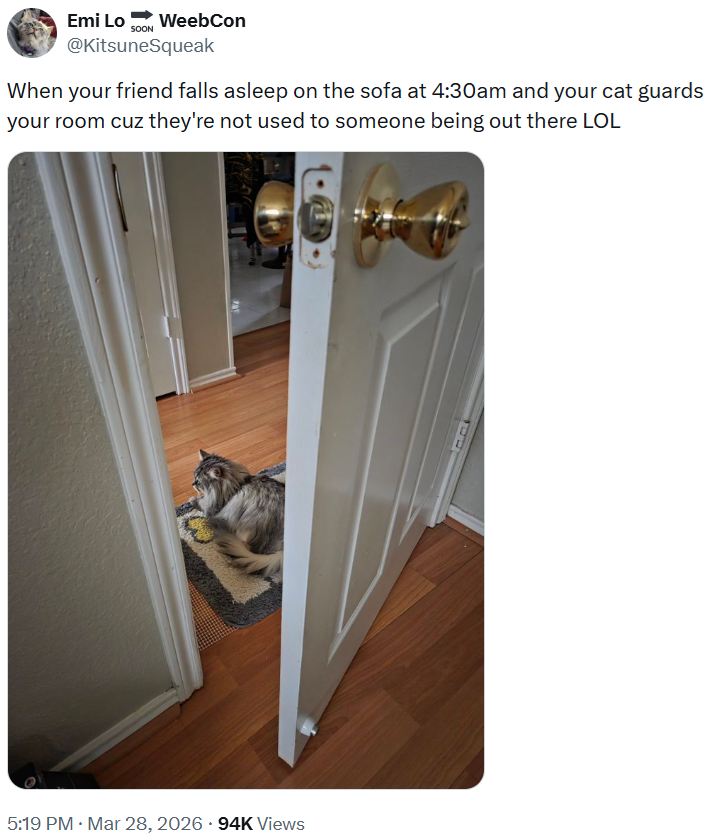 Emi Lo WeebCon @KitsuneSqueak When your friend falls asleep on the sofa at 4:30am and your cat guards your room cuz they're not used to someone being out there LOL FAY 5:19 PM · Mar 28, 2026 94K Views