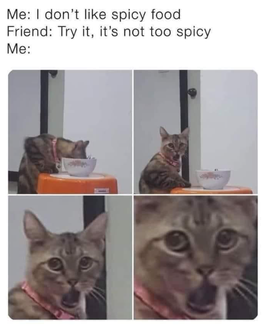 Me: I don't like spicy food Friend: Try it, it's not too spicy Me: