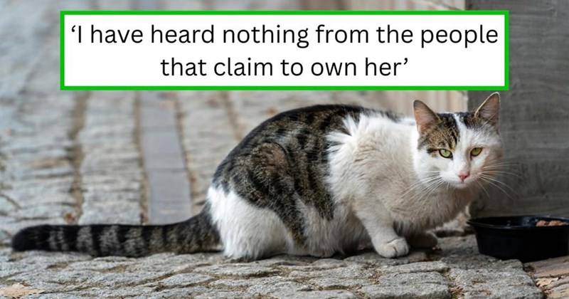 'I have heard nothing from the people that claim to own her'