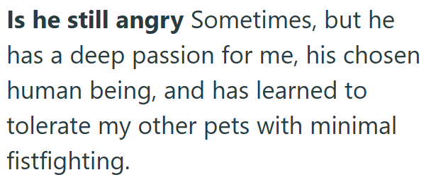 Is he still angry Sometimes, but he has a deep passion for me, his chosen human being, and has learned to tolerate my other pets with minimal fistfighting.