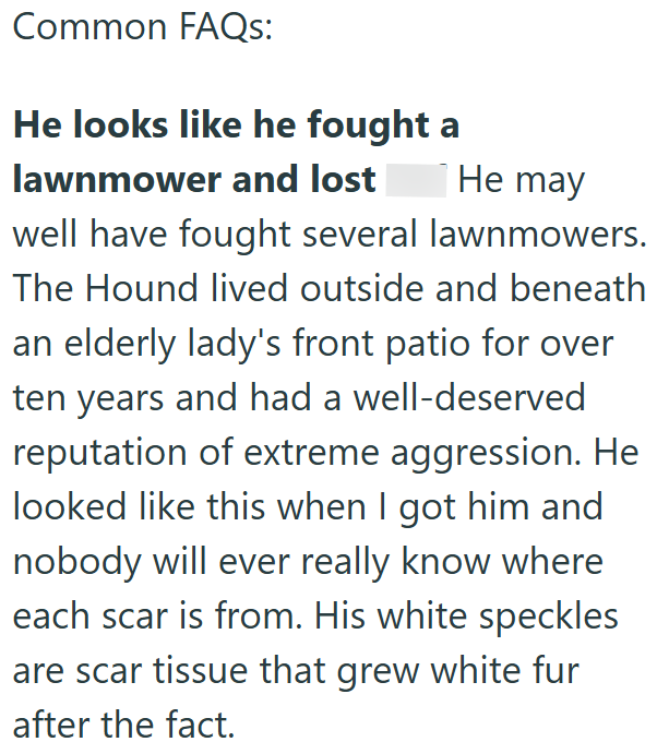 Common FAQs: He looks like he fought a lawnmower and lost He may well have fought several lawnmowers. The Hound lived outside and beneath an elderly lady's front patio for over ten years and had a well-deserved reputation of extreme aggression. He looked like this when I got him and nobody will ever really know where each scar is from. His white speckles are scar tissue that grew white fur after the fact.
