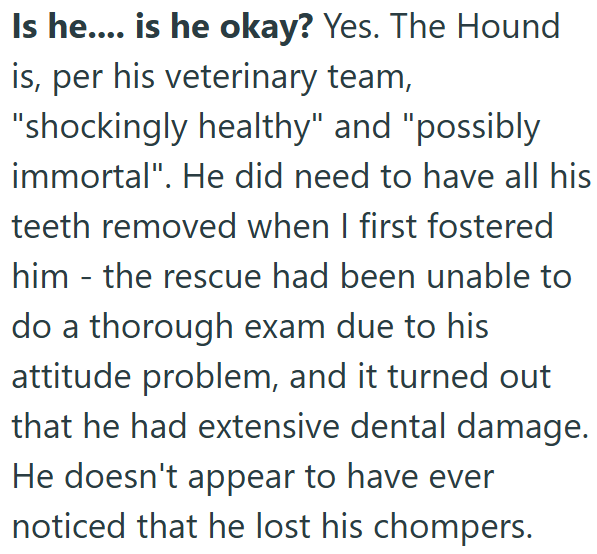 Is he…... is he okay? Yes. The Hound is, per his veterinary team, "shockingly healthy" and "possibly immortal". He did need to have all his teeth removed when I first fostered him - the rescue had been unable to do a thorough exam due to his attitude problem, and it turned out that he had extensive dental damage. He doesn't appear to have ever noticed that he lost his chompers.