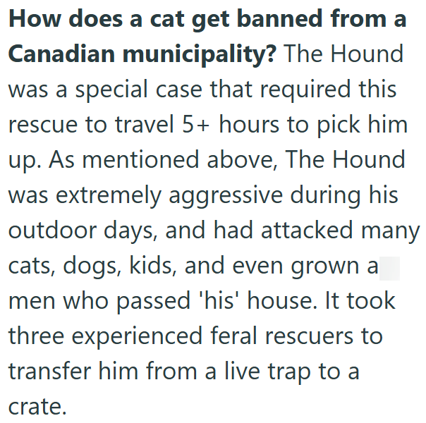 How does a cat get banned from a Canadian municipality? The Hound was a special case that required this rescue to travel 5+ hours to pick him up. As mentioned above, The Hound was extremely aggressive during his outdoor days, and had attacked many cats, dogs, kids, and even grown a men who passed 'his' house. It took three experienced feral rescuers to transfer him from a live trap to a crate.