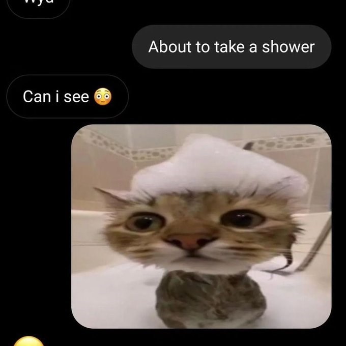 Can i see About to take a shower