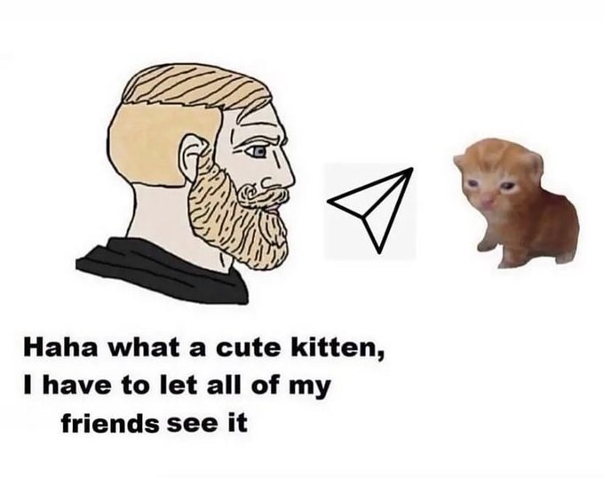 Haha what a cute kitten, I have to let all of my friends see it