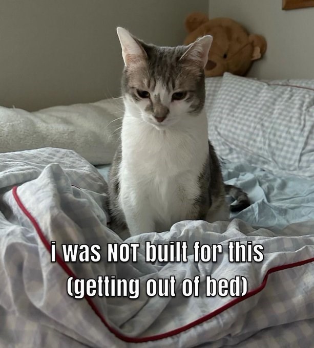 i was NOT built for this (getting out of bed)