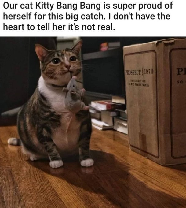 Our cat Kitty Bang Bang is super proud of herself for this big catch. I don't have the heart to tell her it's not real. PROSPECT 1870 PE GESERATION 5th