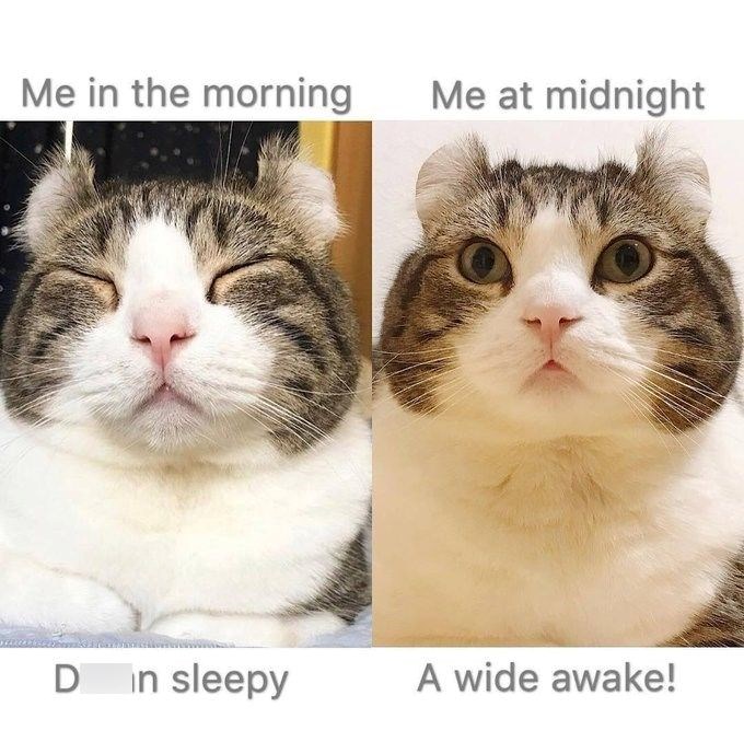 Me in the morning Me at midnight D in sleepy A wide awake!