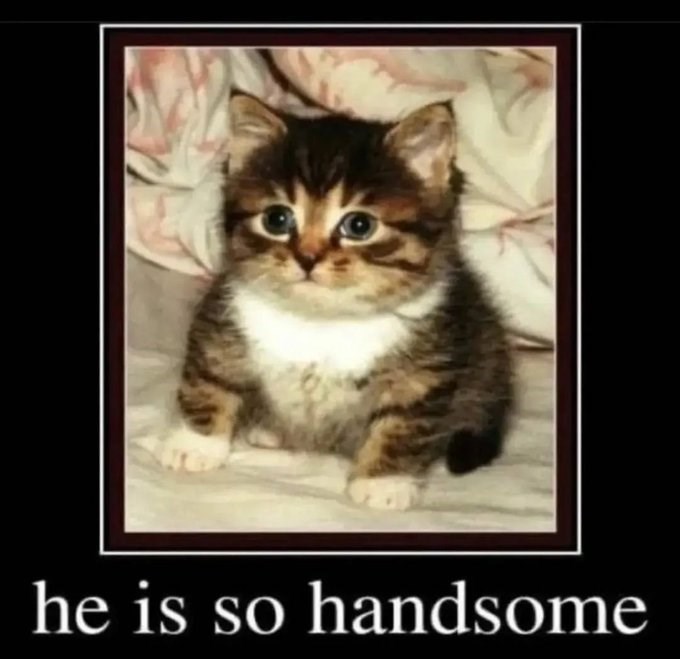 he is so handsome