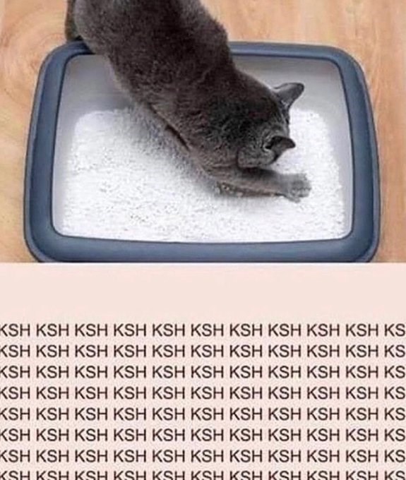 KSH KSH KSH KSH KSH KSH KSH KSH KSH KSH KS KSH KSH KSH KSH KSH KSH KSH KSH KSH KSH KS KSH KSH KSH KSH KSH KSH KSH KSH KSH KSH KS KSH KSH KSH KSH KSH KSH KSH KSH KSH KSH KS KSH KSH KSH KSH KSH KSH KSH KSH KSH KSH KS KSH KSH KSH KSH KSH KSH KSH KSH KSH KSH KS KSH KSH KSH KSH KSH KSH KSH KSH KSH KSH KS KSH KSH KSH KSH KSH KSH KSH KSH KSH KSH KS