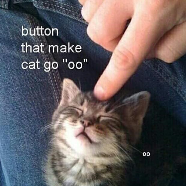 button that make cat go "oo" 00 00