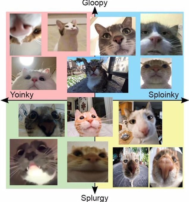 Yoinky Gloopy Splurgy Sploinky