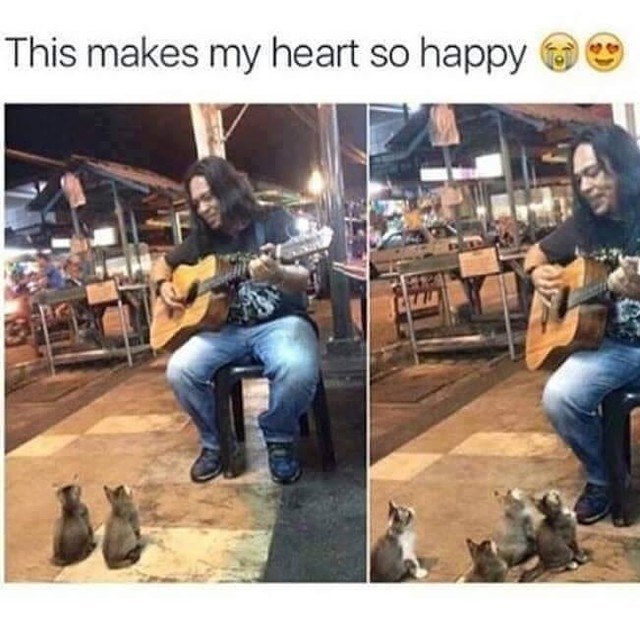 This makes my heart so happy