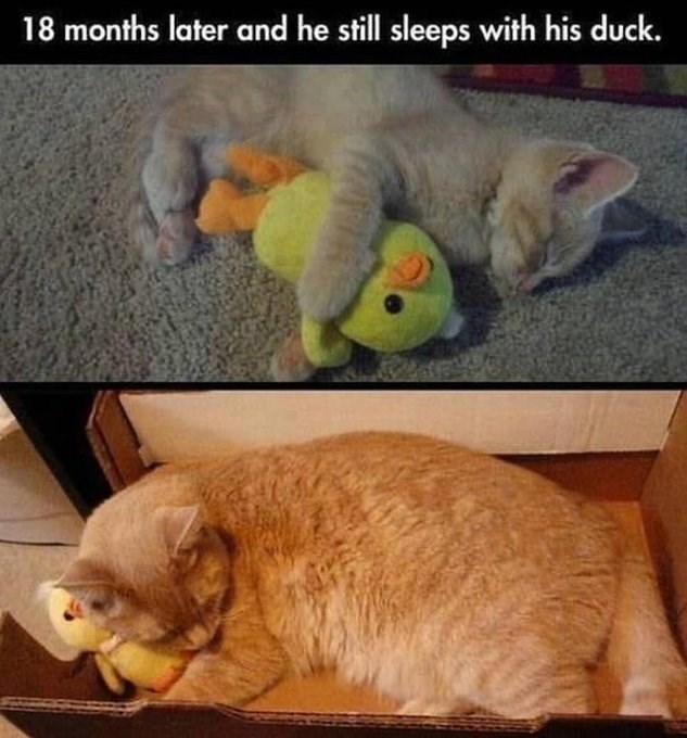 18 months later and he still sleeps with his duck.