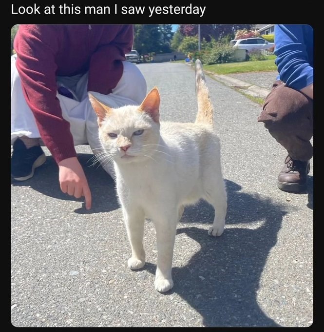 Look at this man I saw yesterday