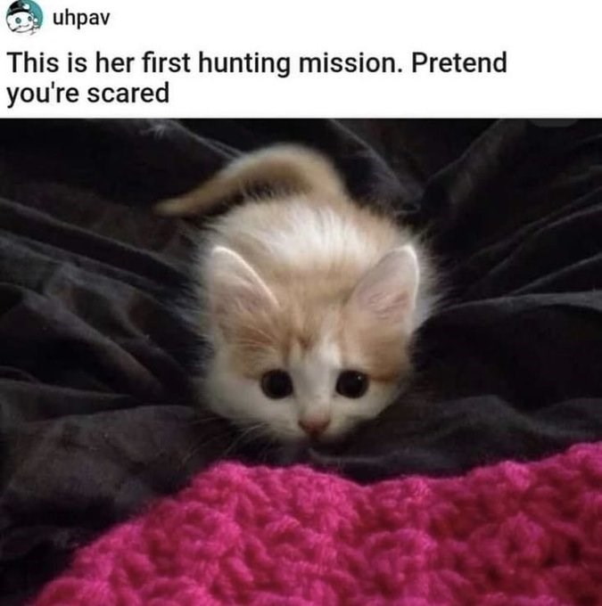 uhpav This is her first hunting mission. Pretend you're scared
