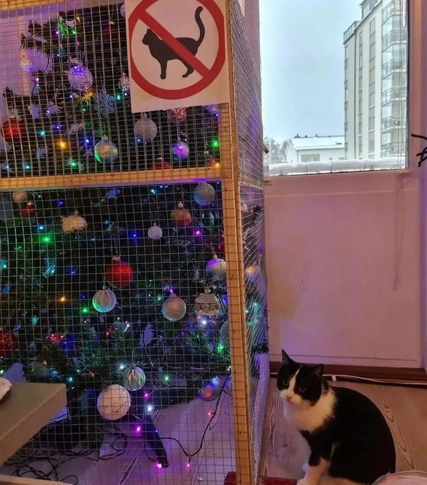 Cheezburger Image 10619827712