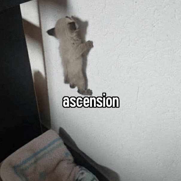 ascension