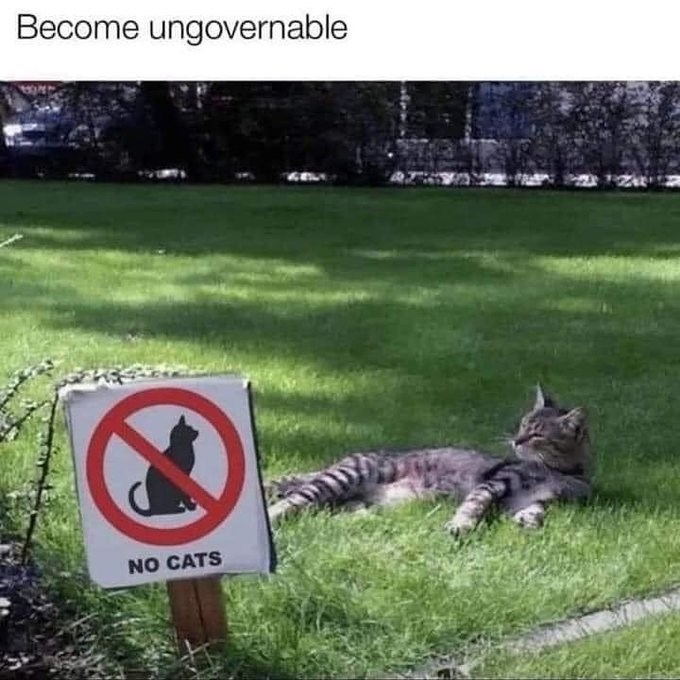 Become ungovernable NO CATS